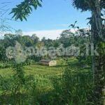 Nawalapitiya Sudugalpotta 5 acres land for sale-suitable for hotel projects