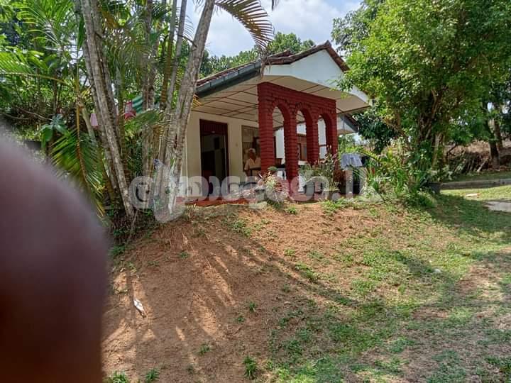 Kaduwela Ranala-Homagama road 2 acres land for sale