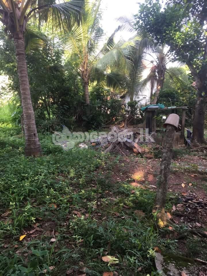 Welisara,Adi 20 road 21 perches land for sale