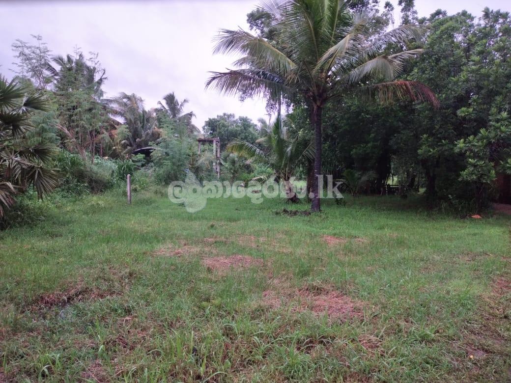 Land for sale
