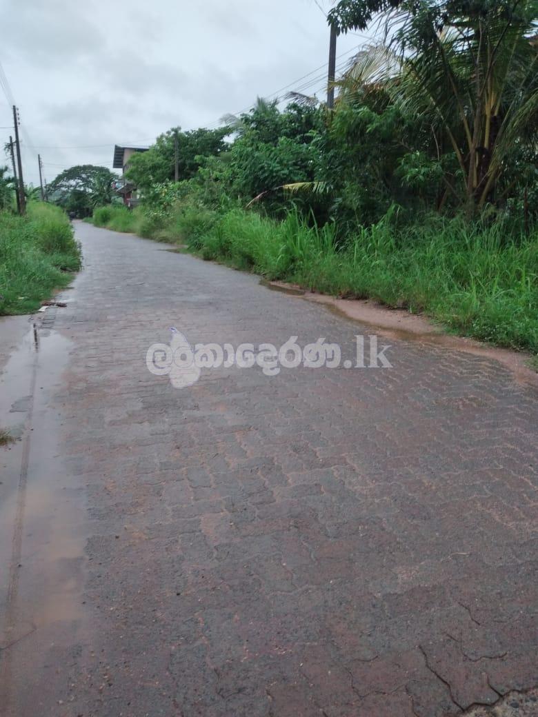 Land for sale