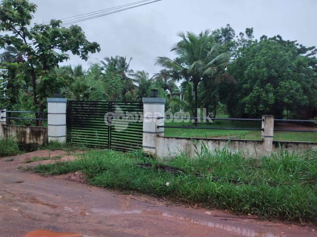 Land for sale