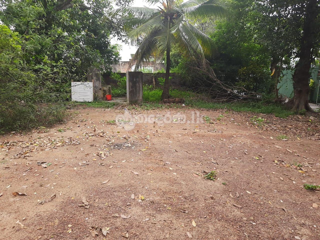 Land For Sale In Nawala