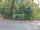 Land For Sale In Piliyandala