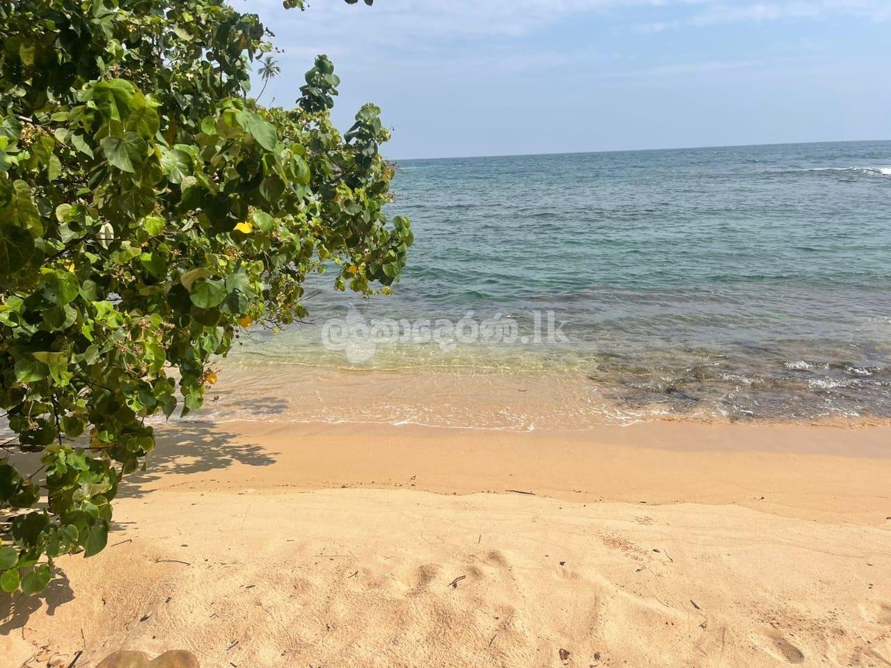 Beach Front Land For Sale In Devinuwara, Matara