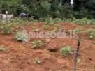 Dodangoda land for Sale