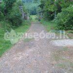 Land