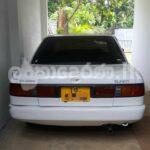 Nissan Sunny