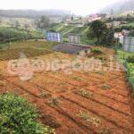 Code 3753 Land for sale Nuwara Eliya