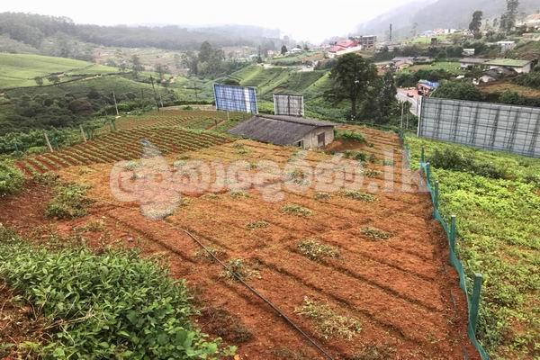 Code 3753 Land for sale Nuwara Eliya