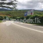 Code 3753 Land for sale Nuwara Eliya