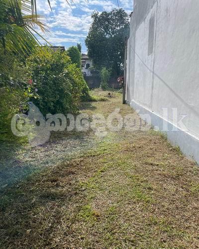 Code 3758 Land for sale Moratuwa