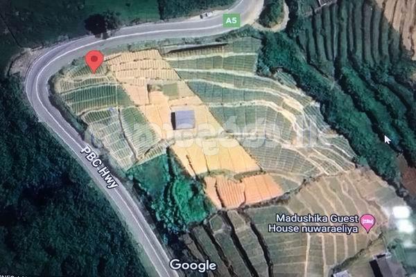 Code 3753 Land for sale Nuwara Eliya