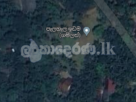 දොම්පේ පැළහැල ඉඩමක් විකීණීමට ඇත!