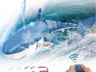 Remote Control Shark Toy