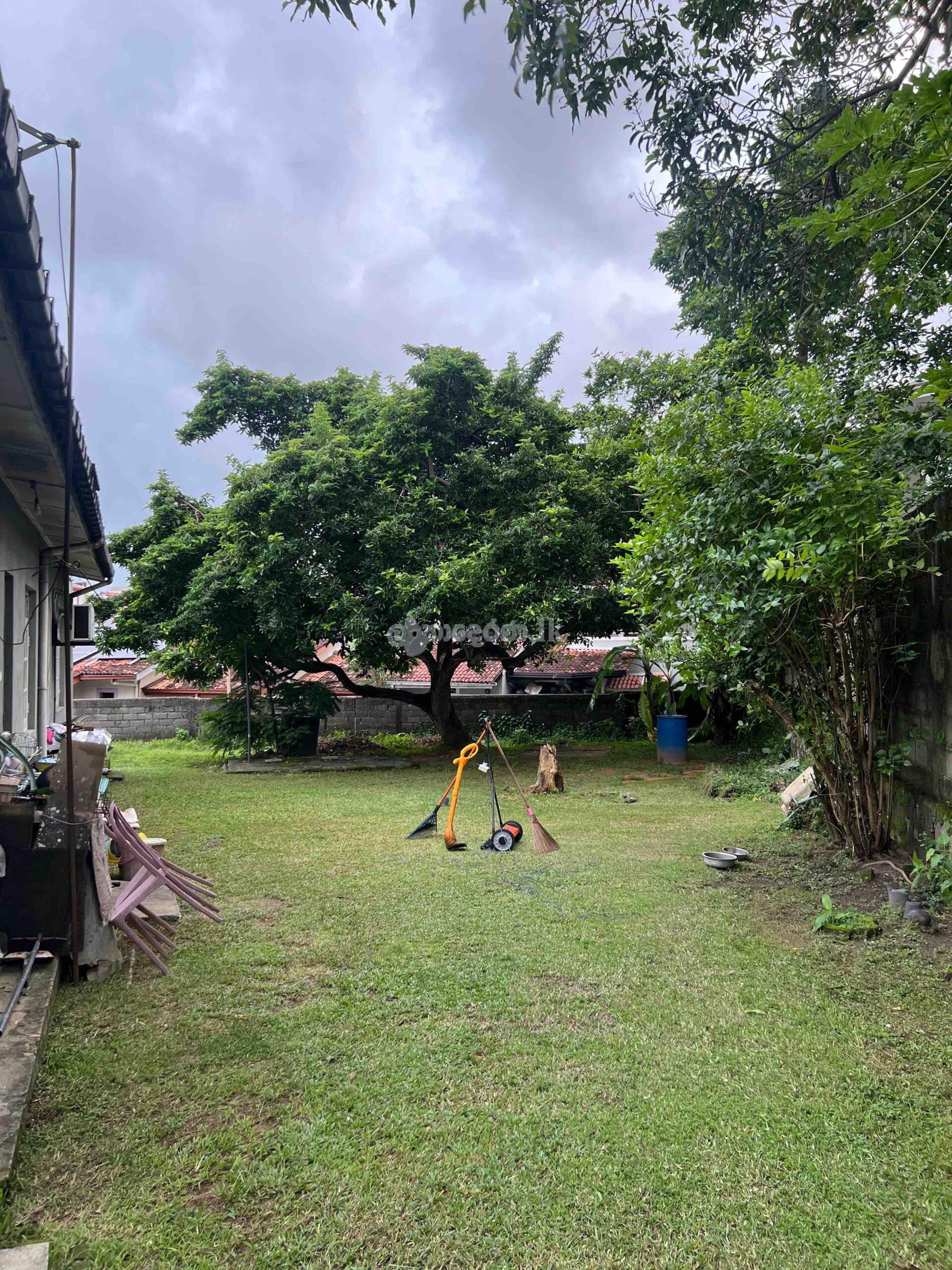 LAND WITH HOUSE FOR SALE! MIRIHANA-NUGEGODA HIGHEST OFFER!