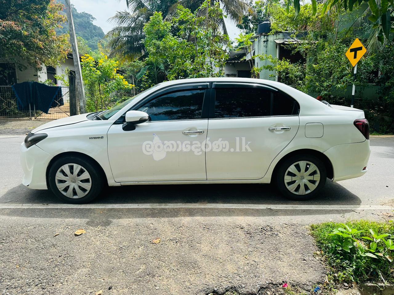 Rent a car Axio Hybrid