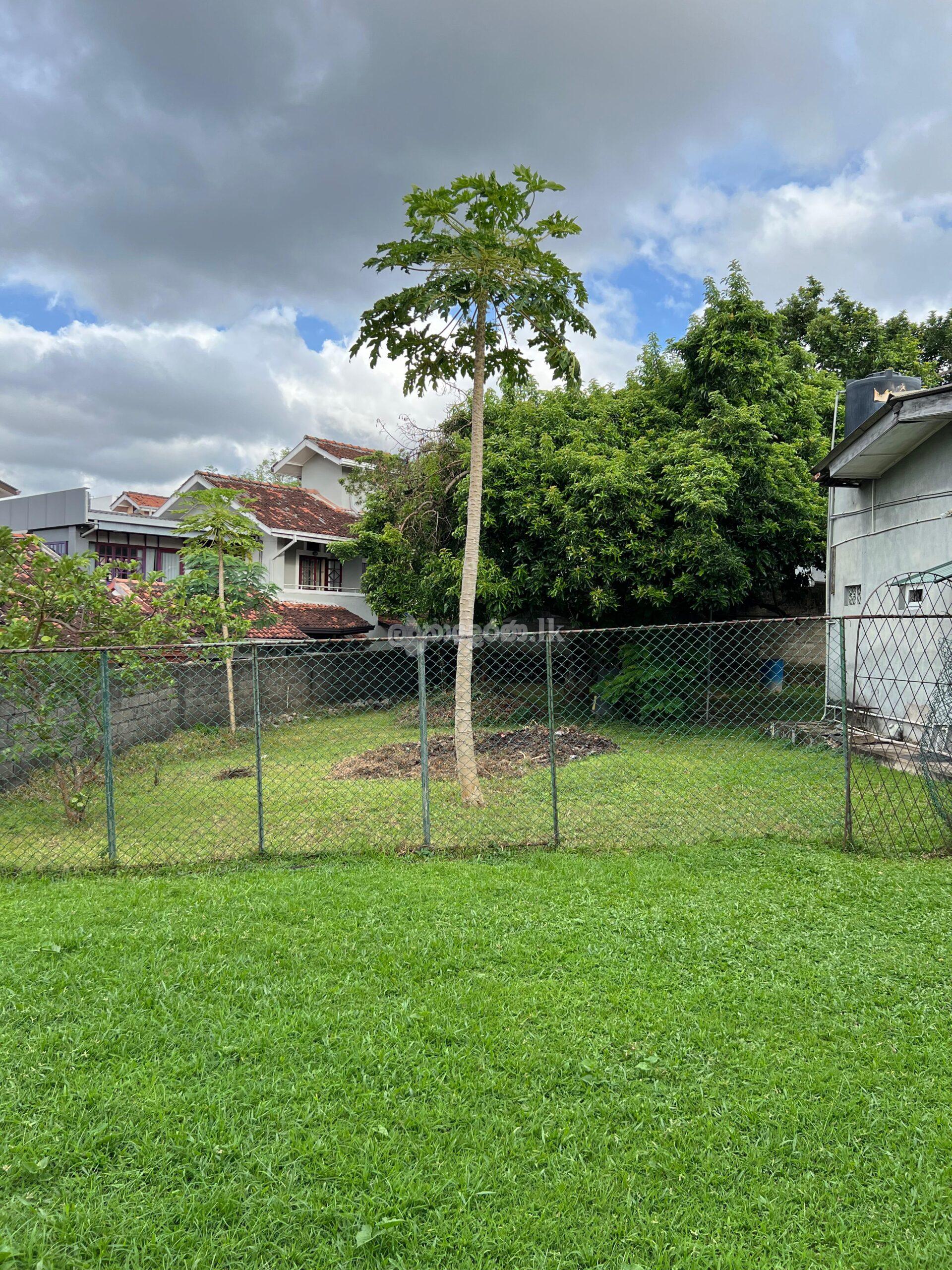 LAND WITH HOUSE FOR SALE! MIRIHANA-NUGEGODA HIGHEST OFFER!