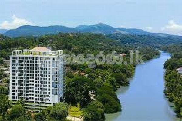 Coxe 3776 Apt rent Kandy