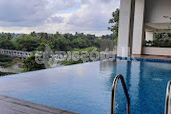 Coxe 3776 Apt rent Kandy