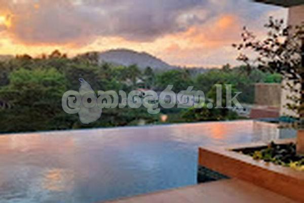 Coxe 3776 Apt rent Kandy