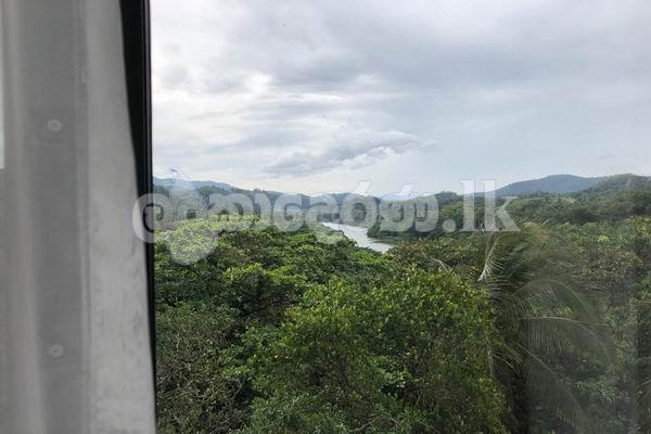 Coxe 3776 Apt rent Kandy