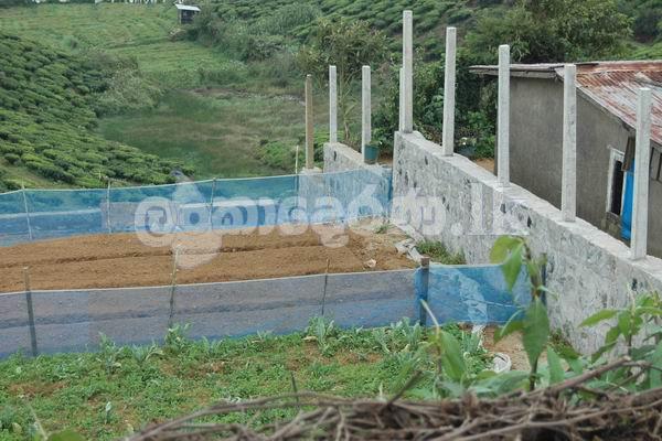 Code 3797A Land for sale Nuwara Eliya