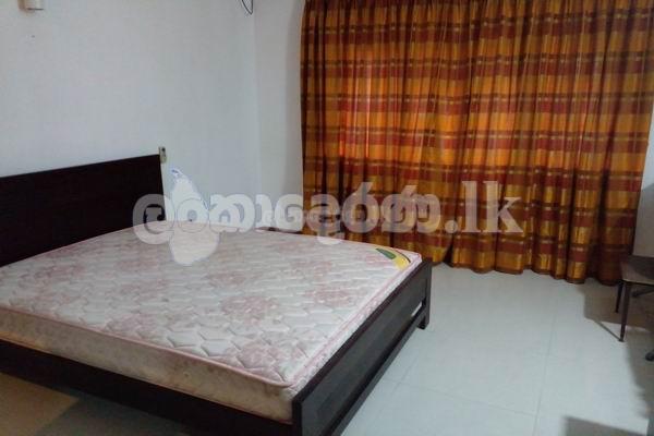 Code 3804 Apt for rent Col08