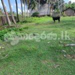 Code 3814 Land for sale Hikkaduwa