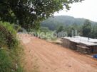 Code 3818 land for sale Weliveriya