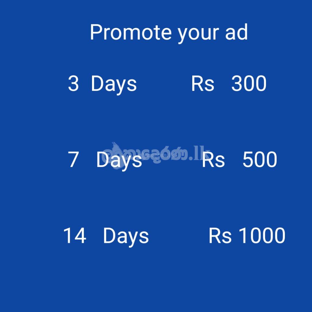 Promote Your Ad now