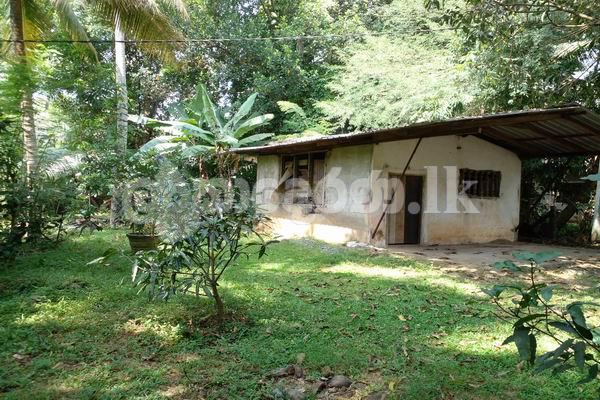 Code 3817 House for sale Kegalle