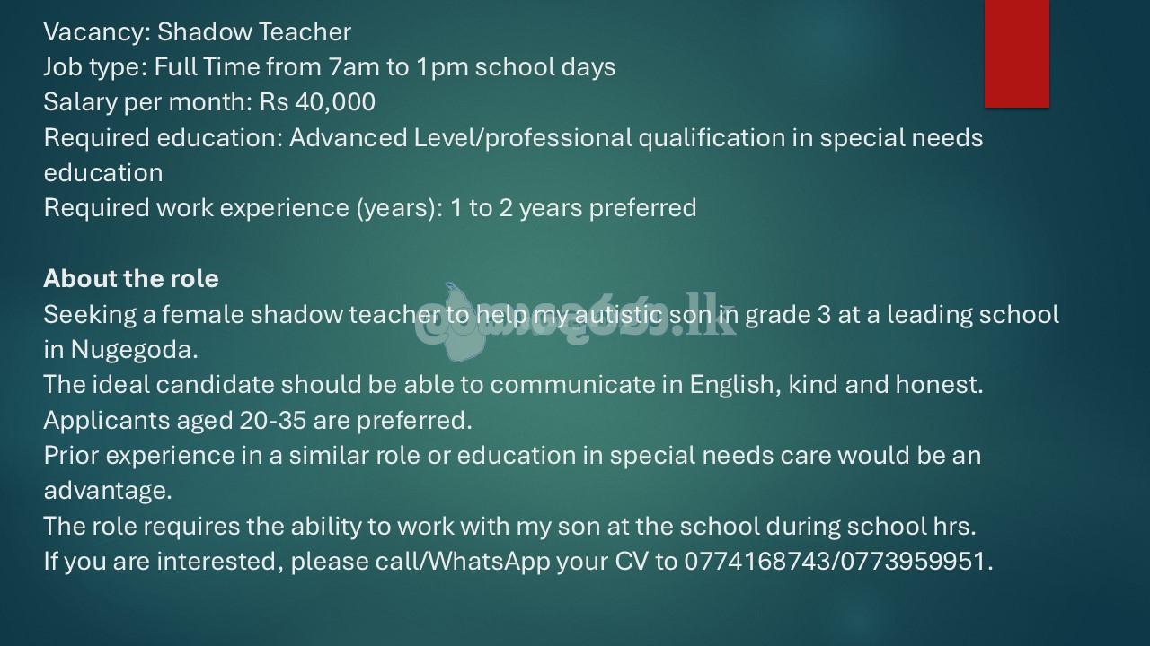 Shadow Teacher