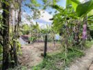 Land with A House for Sale in Warakapola