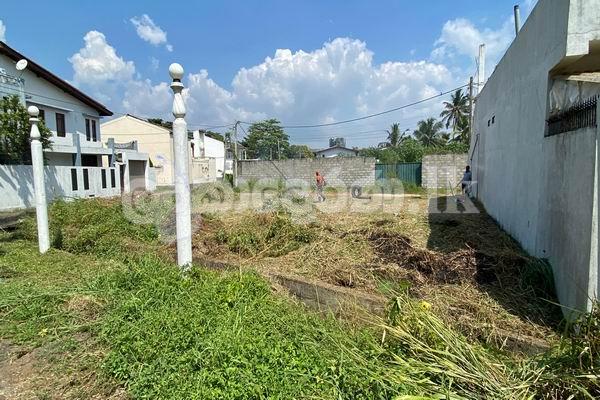 Code 3837 Landfor sale Mt.lavinia