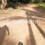 30 Perches Land For Sale In Ukuwela Matale