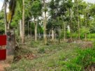 නාරම්මල නගරයට නුදුරුව අක්කර භාගයක ඉඩමක් විකිණීමට.Land for sale