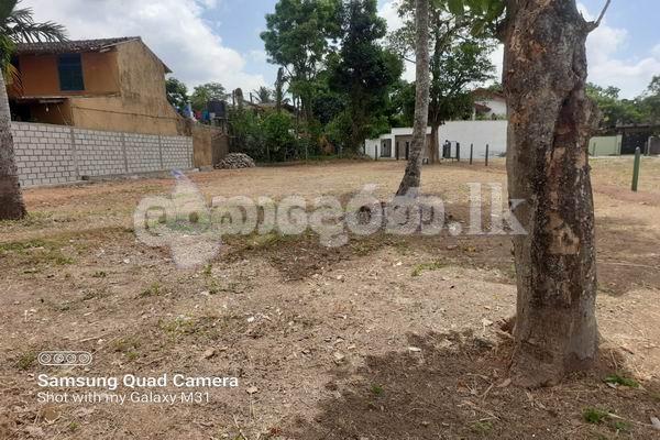 Code 3856 Land for sale Rajagiriya