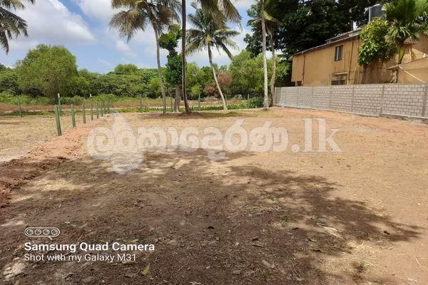 Code 3856 Land for sale Rajagiriya