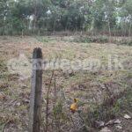 Land for sale-Dambulla Town