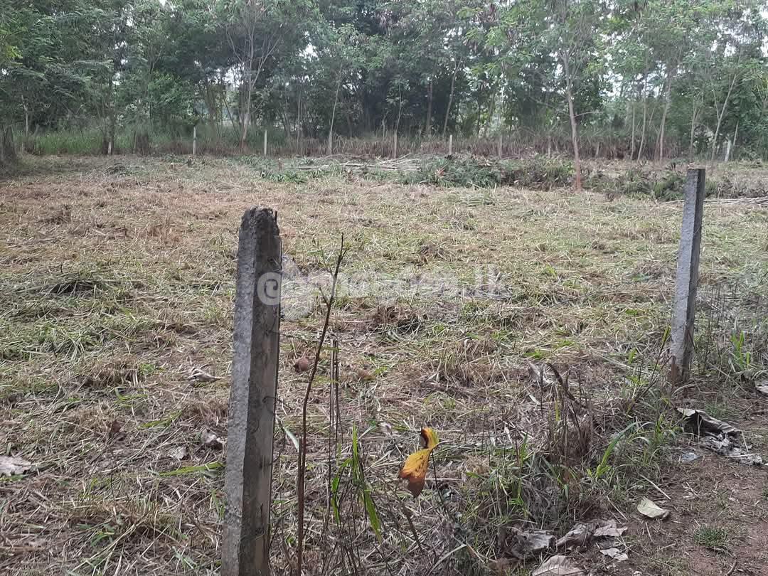 Land for sale-Dambulla Town