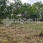Land for sale-Dambulla Town