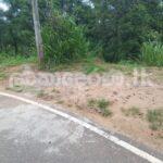 Partly constructed landscapes For immediate sale
