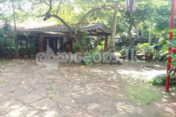 Code 3872 Land for sale Mt.lavinia