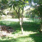 Cide 3875 Land with a house for sale Ratmalana