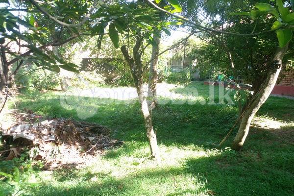 Cide 3875 Land with a house for sale Ratmalana