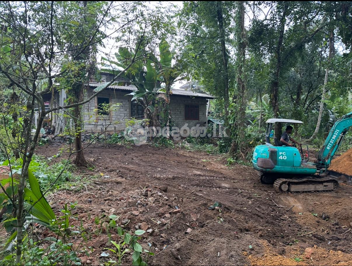 ඉංගිරියෙන් වටිනා ඉඩමක් විකිණීමට!