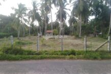 Land for Sale in Marawila