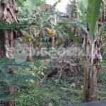 Code 3901 Land for sale Kesbewa