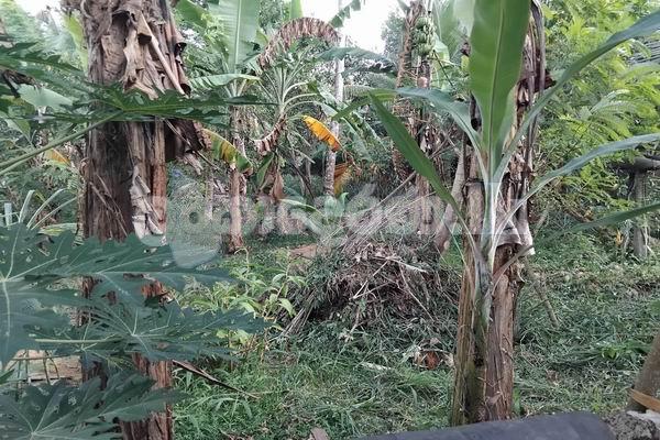 Code 3901 Land for sale Kesbewa